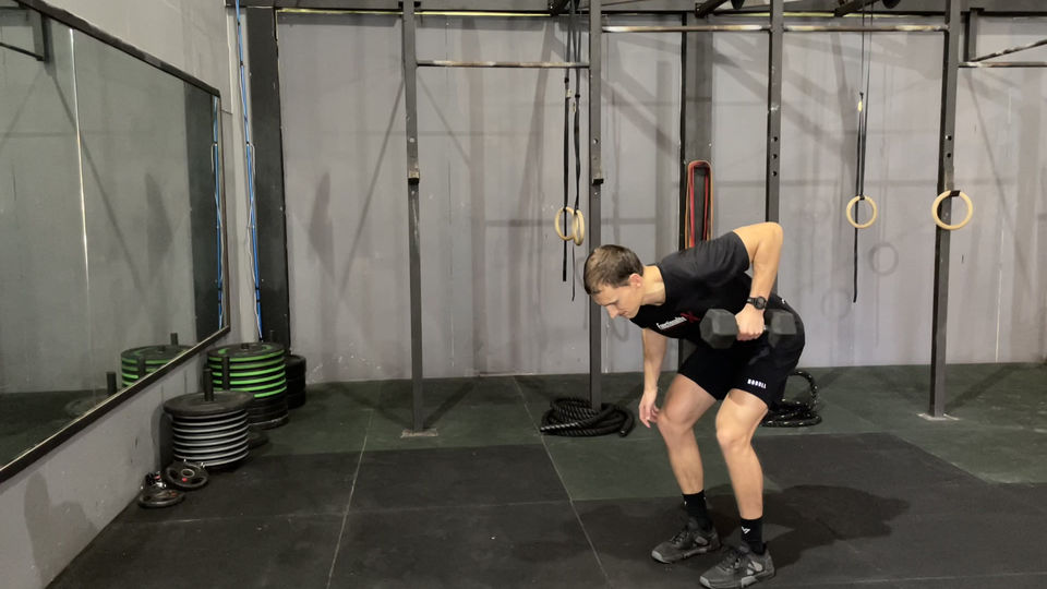 Single Arm Dumbbell Bent Over Row